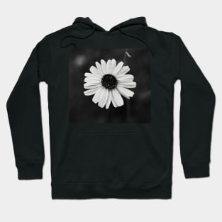 Black and white daisy flower Hoodie